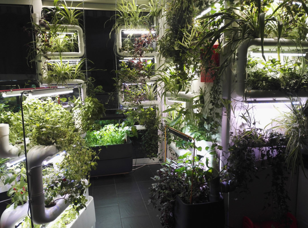 Supra-green-wall-diy-hydroponic-garden-kit